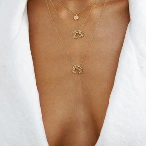 Bagatiba Mini DH 20" Necklace (NEVER WORN)